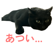 858065827