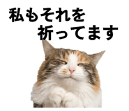 858065842