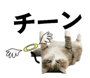 858065849