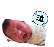 858065938