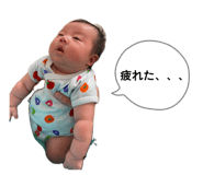 858065951