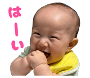858066202
