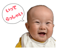 858066207