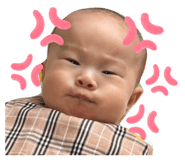 858066210