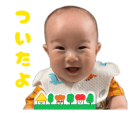 858066213