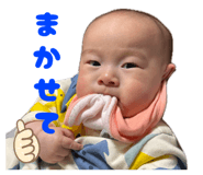 858066215