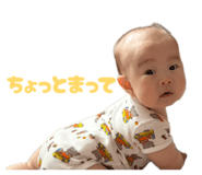 858066222