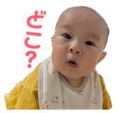 858066224