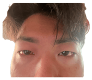858066565