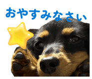 858066721