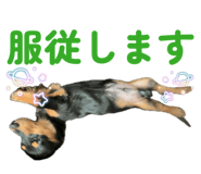 858066729