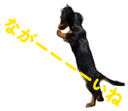 858066733