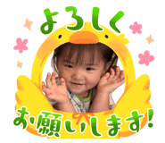 858067081