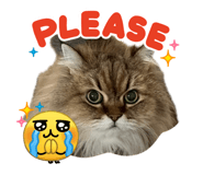 858067193