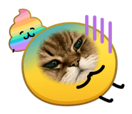 858067194
