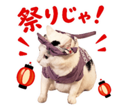 858067998