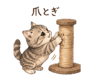 858068032