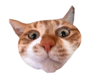 858068192