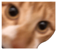 858068199