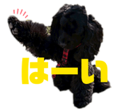 858068958