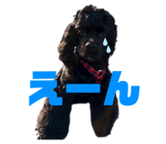 858068961