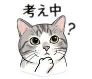 858069704