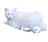 858069973