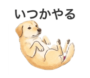 858070353