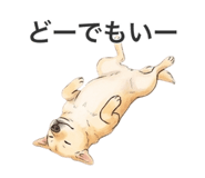 858070354