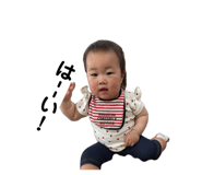 858070494