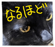 858070530