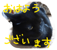 858070537