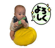 858070590