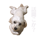 858070625