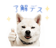 858071147