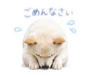 858071148