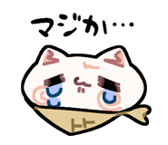 858071242