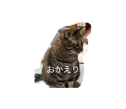 858073120