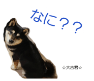 858074772