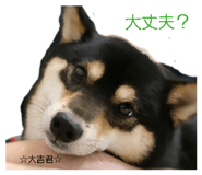 858074775