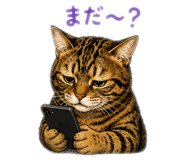 858075178