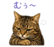 858075185