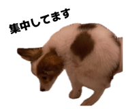 858075470