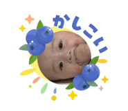 858075505