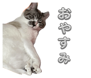 858075622