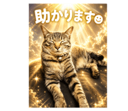 858075914