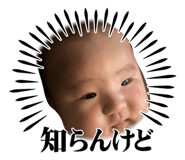 858076205