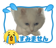 858076876