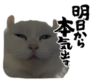 858076878