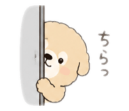 858077238